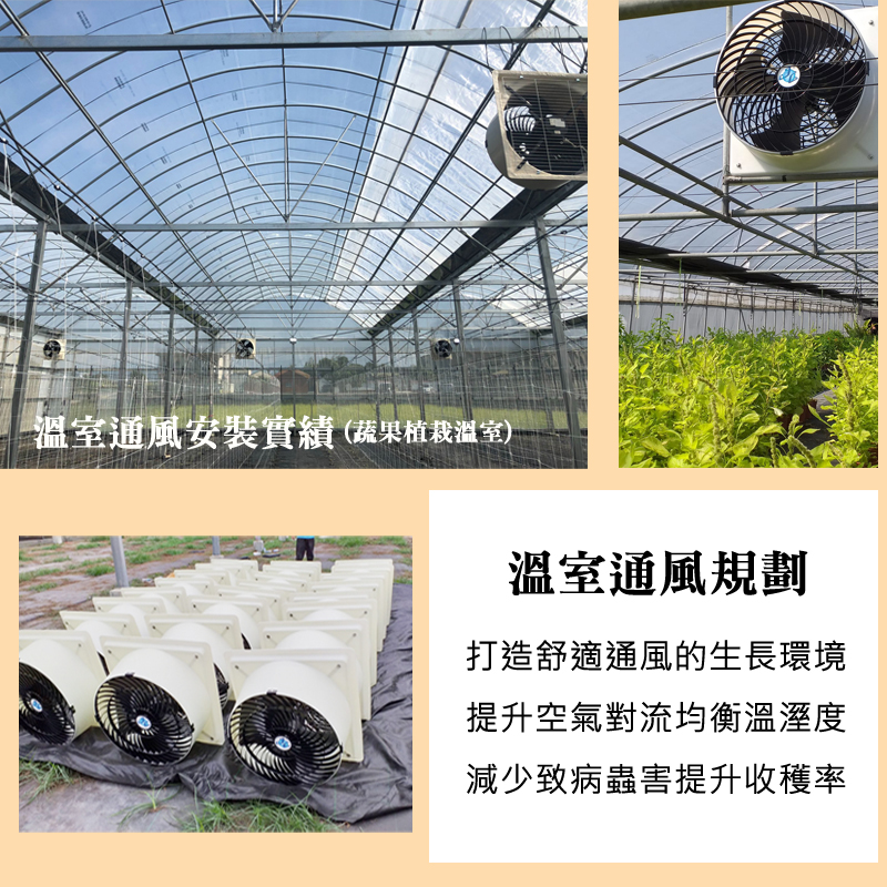 溫室通風規劃實績-蔬果植栽